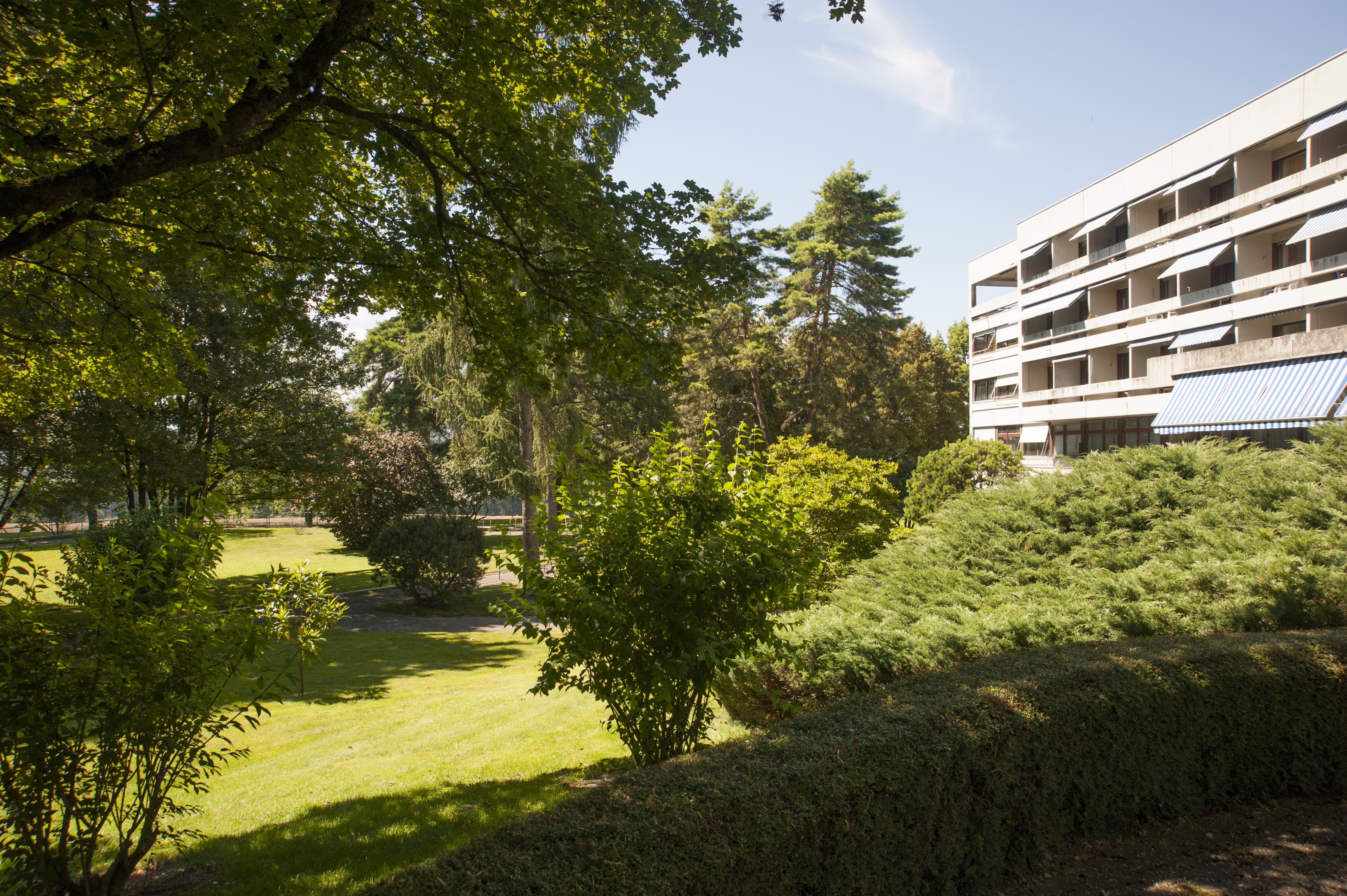 Image du parc de l'EMS Clair-Soleil à Ecublens