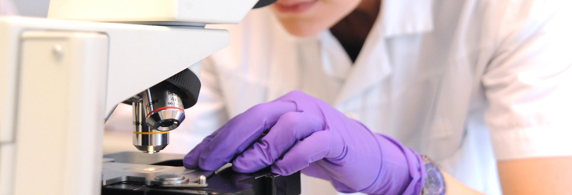 Un chercheur au microscope