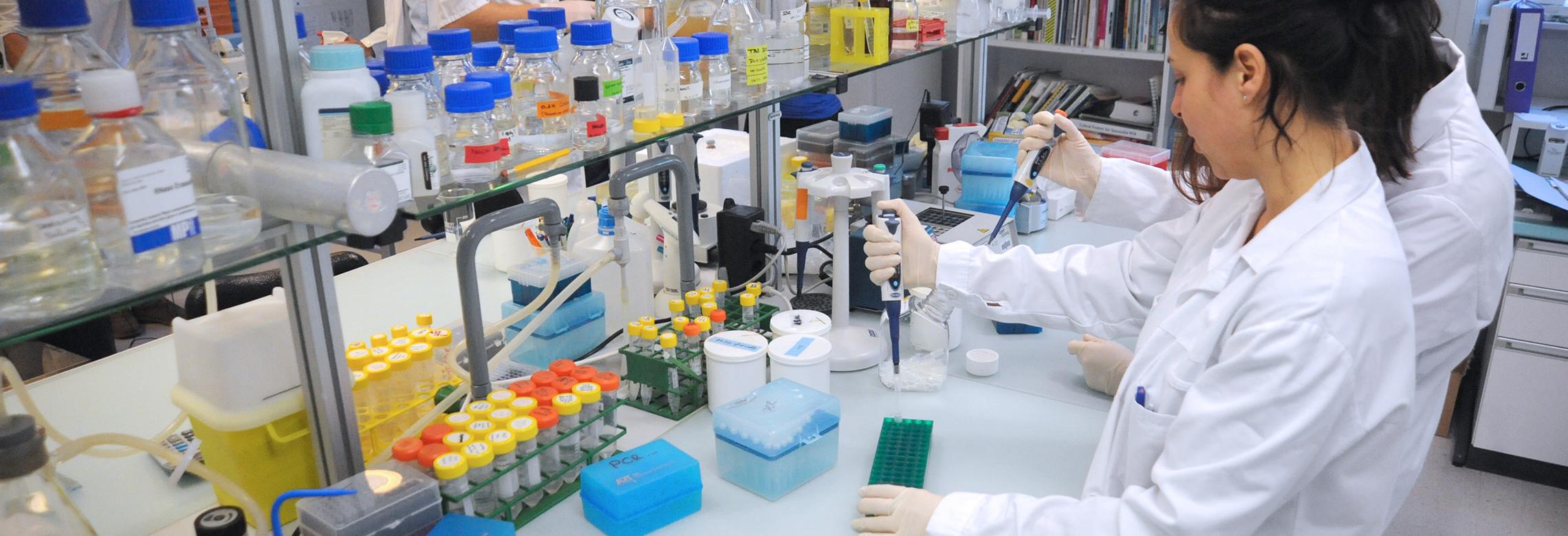 Image de chercheurs au laboratoire